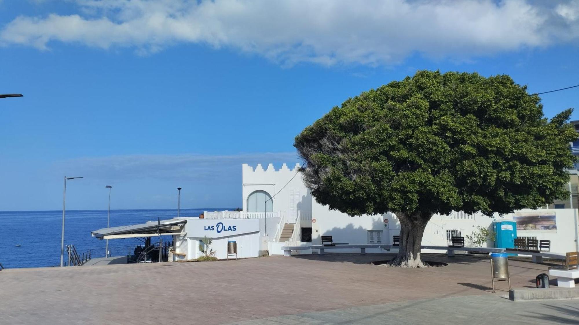 Lajonessun Puerto De Naos